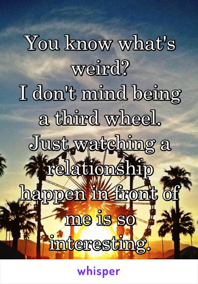 You know what's weird?
I don't mind being a third wheel.
Just watching a relationship happen in front of me is so interesting.