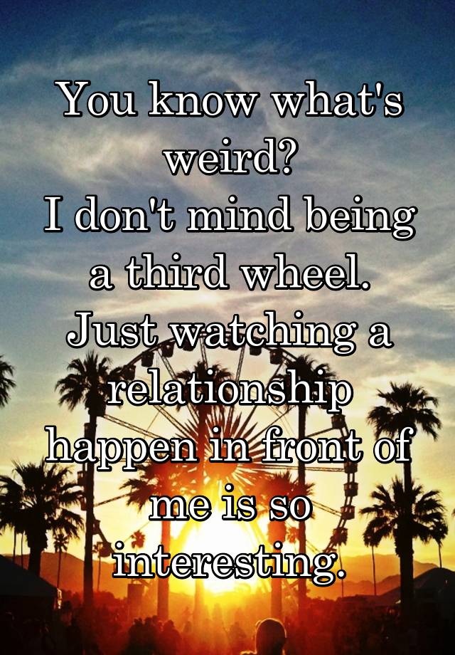 You know what's weird?
I don't mind being a third wheel.
Just watching a relationship happen in front of me is so interesting.