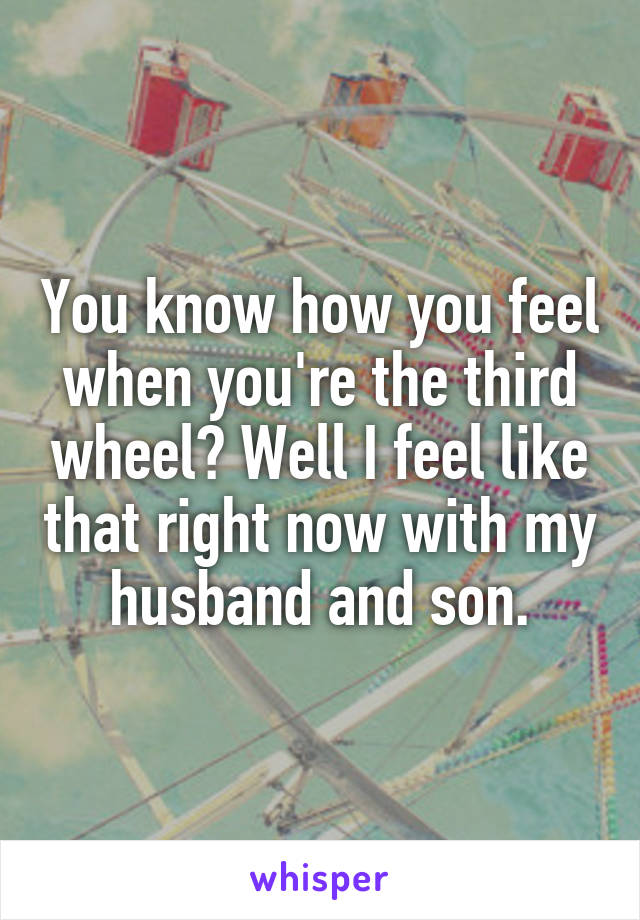 You know how you feel when you're the third wheel? Well I feel like that right now with my husband and son.