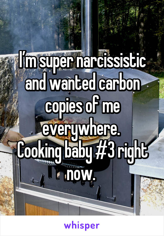 I’m super narcissistic and wanted carbon copies of me everywhere. 
Cooking baby #3 right now. 