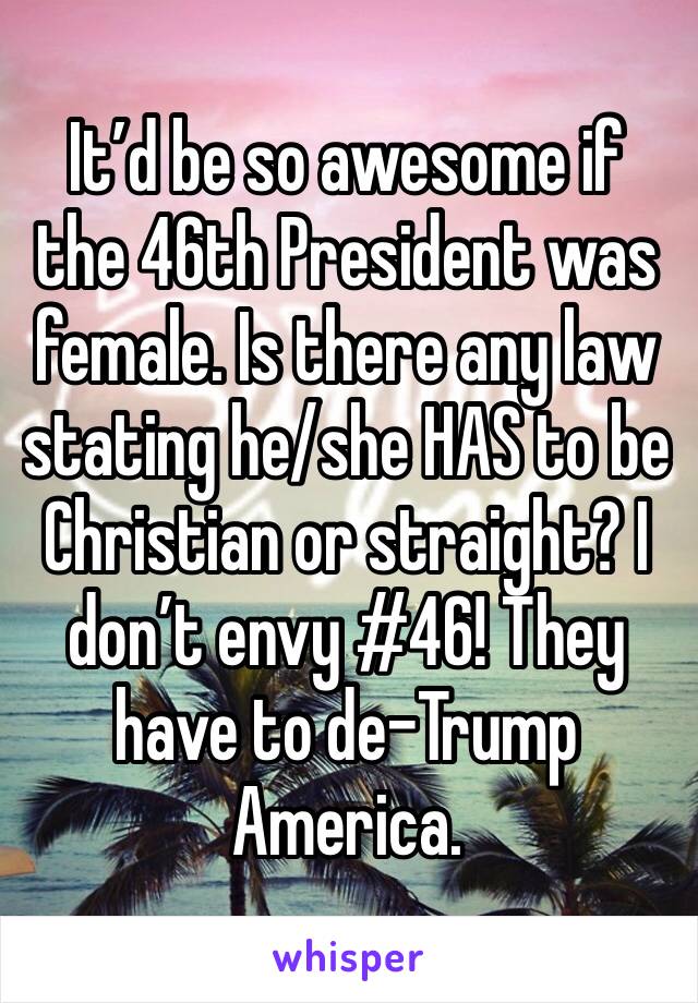 It’d be so awesome if the 46th President was female. Is there any law stating he/she HAS to be Christian or straight? I don’t envy #46! They have to de-Trump America. 