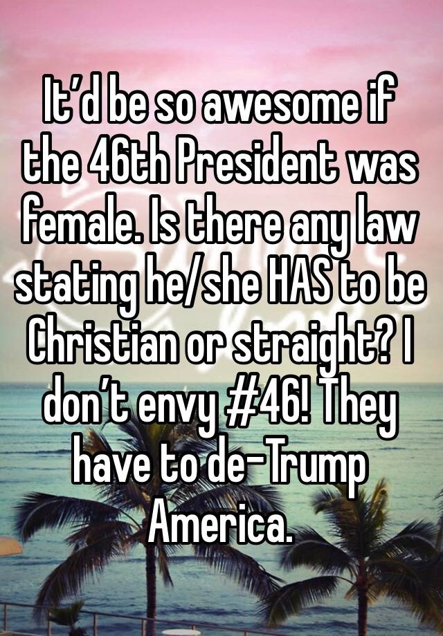 It’d be so awesome if the 46th President was female. Is there any law stating he/she HAS to be Christian or straight? I don’t envy #46! They have to de-Trump America. 