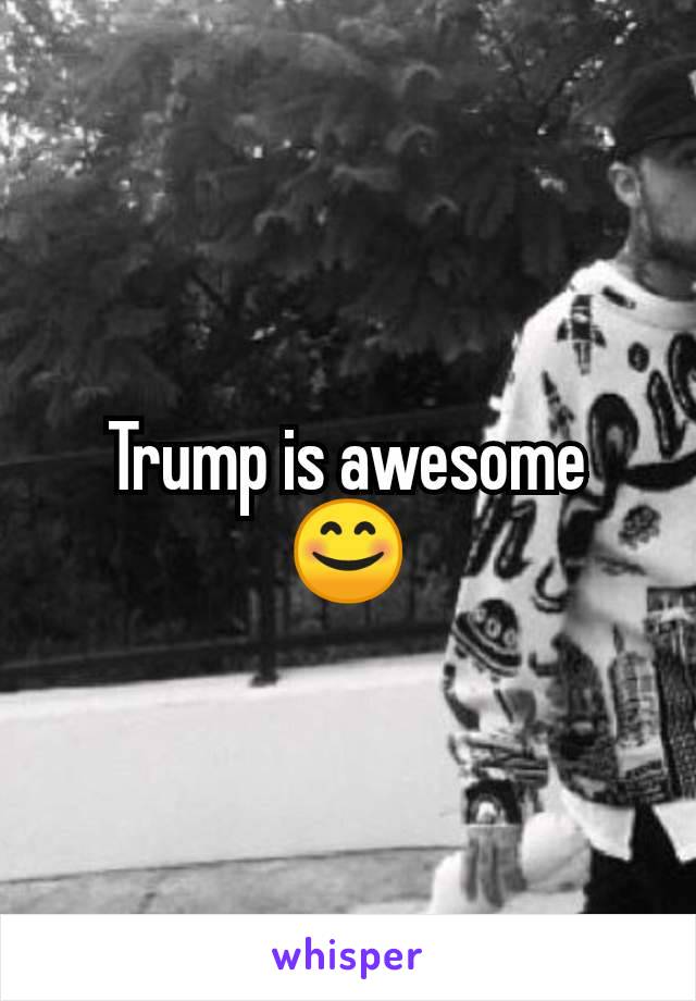 Trump is awesome 😊