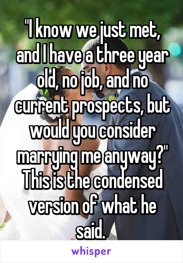 "I know we just met, and I have a three year old, no job, and no current prospects, but would you consider marrying me anyway?"
This is the condensed version of what he said. 