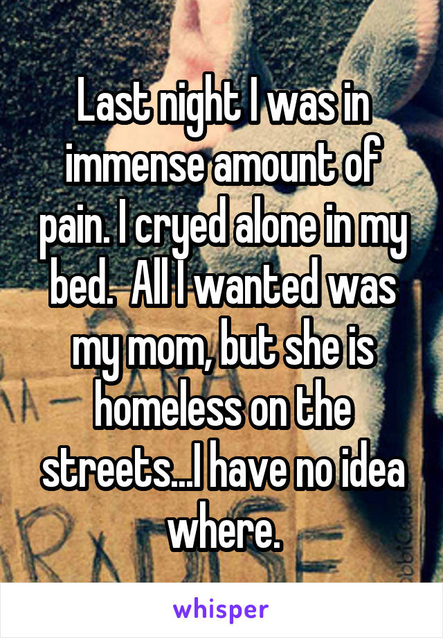 Last night I was in immense amount of pain. I cryed alone in my bed.  All I wanted was my mom, but she is homeless on the streets...I have no idea where.