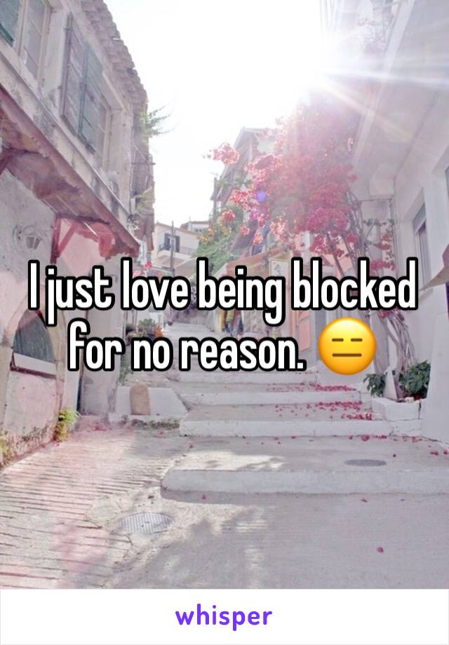 I just love being blocked for no reason. 😑