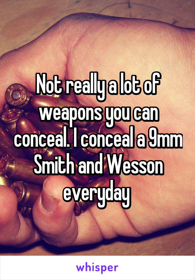 Not really a lot of weapons you can conceal. I conceal a 9mm Smith and Wesson everyday 