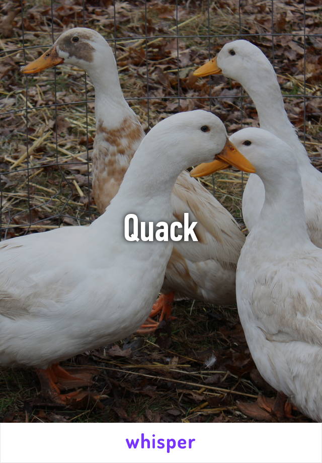 Quack