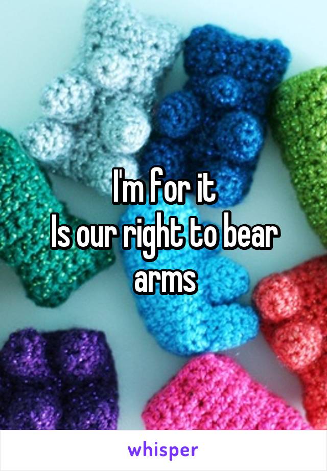 I'm for it
Is our right to bear arms