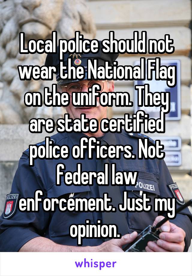 Local police should not wear the National Flag on the uniform. They are state certified police officers. Not federal law enforcement. Just my opinion. 