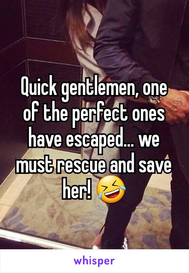 Quick gentlemen, one of the perfect ones have escaped... we must rescue and save her! 🤣