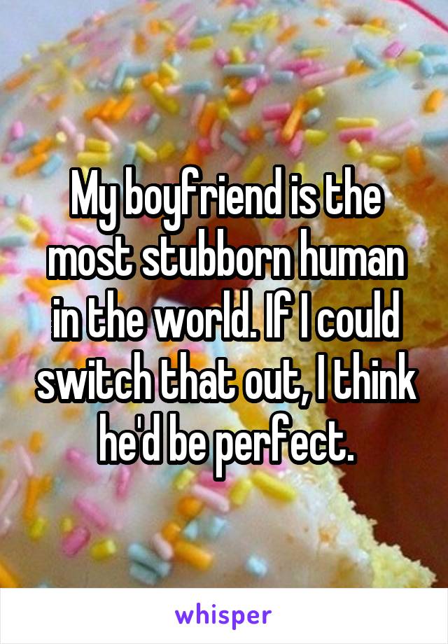 My boyfriend is the most stubborn human in the world. If I could switch that out, I think he'd be perfect.