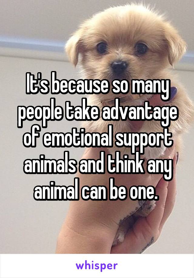 It's because so many people take advantage of emotional support animals and think any animal can be one. 