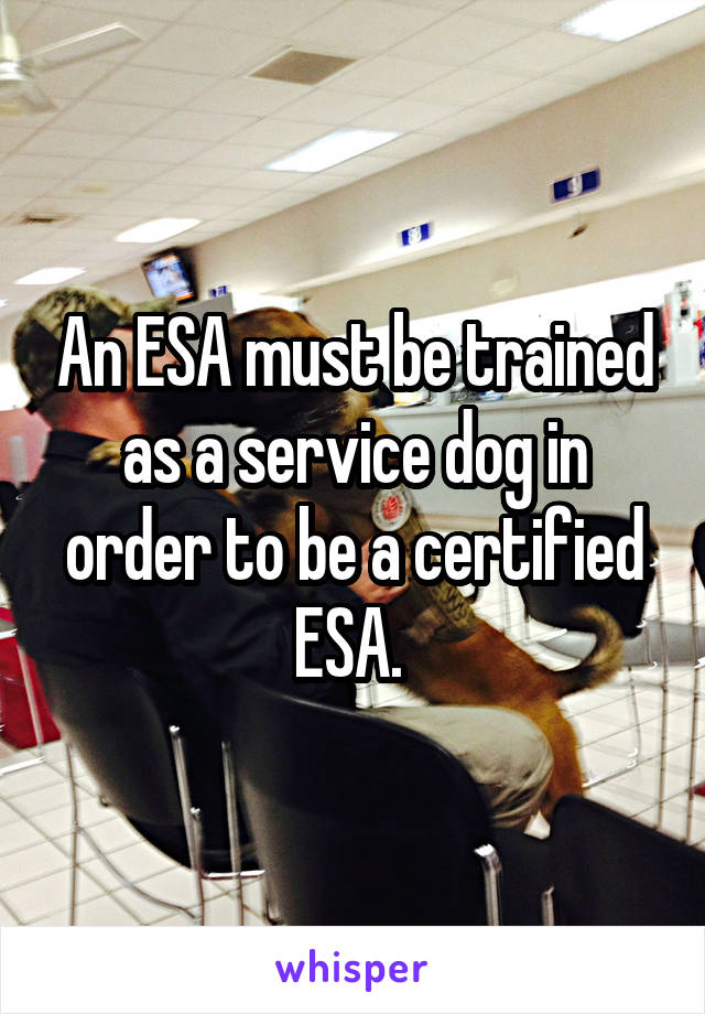 An ESA must be trained as a service dog in order to be a certified ESA. 