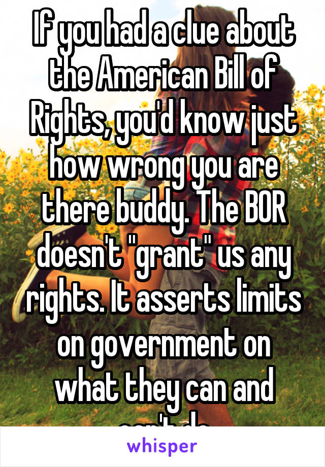 If you had a clue about the American Bill of Rights, you'd know just how wrong you are there buddy. The BOR doesn't "grant" us any rights. It asserts limits on government on what they can and can't do