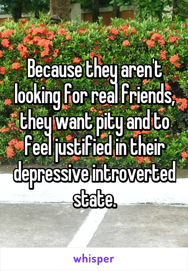 Because they aren't looking for real friends, they want pity and to feel justified in their depressive introverted state.