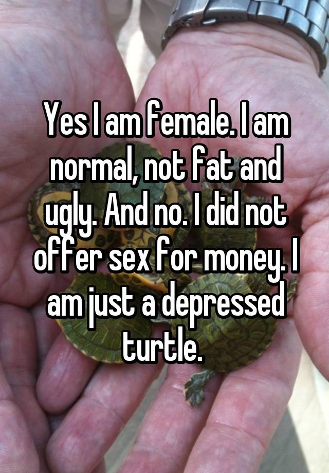 Yes I am female. I am normal, not fat and ugly. And no. I did not offer sex for money. I am just a depressed turtle. 