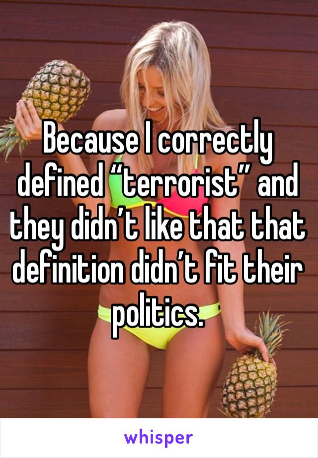 Because I correctly defined “terrorist” and they didn’t like that that definition didn’t fit their politics.