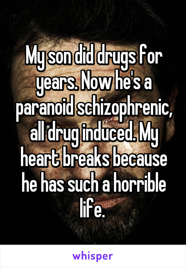My son did drugs for years. Now he's a paranoid schizophrenic, all drug induced. My heart breaks because he has such a horrible life. 