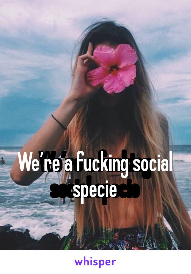 We’re a fucking social specie 