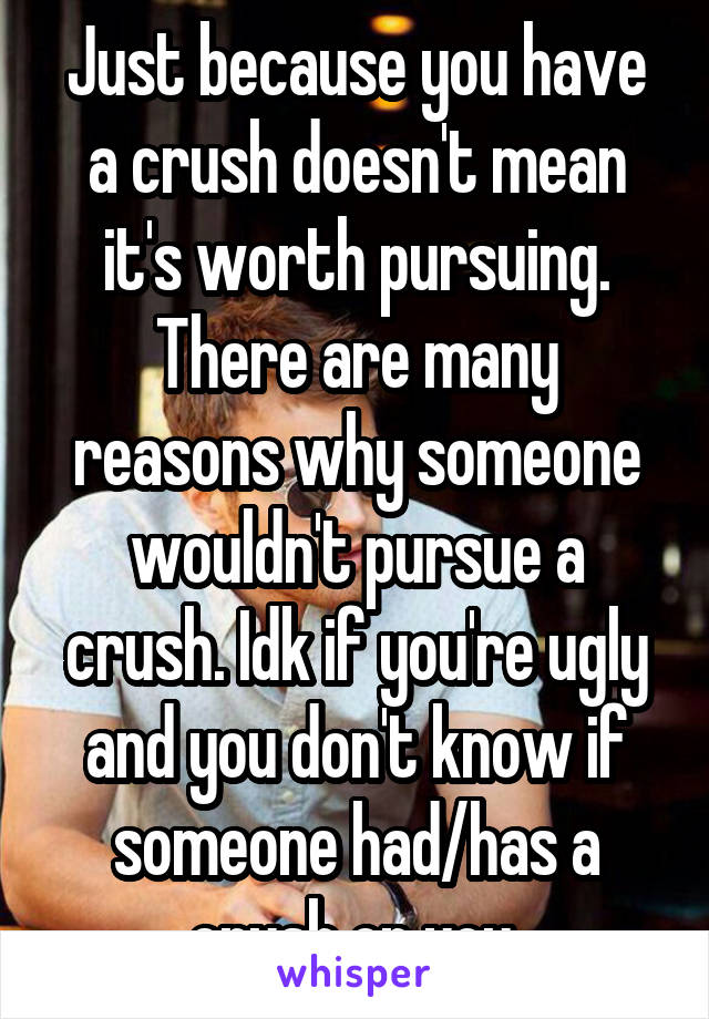 Just because you have a crush doesn't mean it's worth pursuing. There are many reasons why someone wouldn't pursue a crush. Idk if you're ugly and you don't know if someone had/has a crush on you.