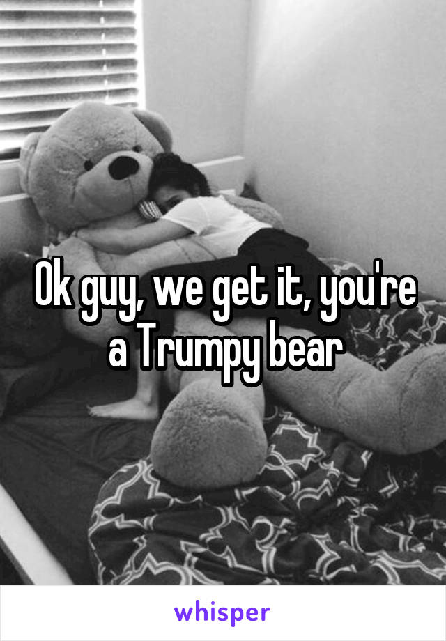 Ok guy, we get it, you're a Trumpy bear