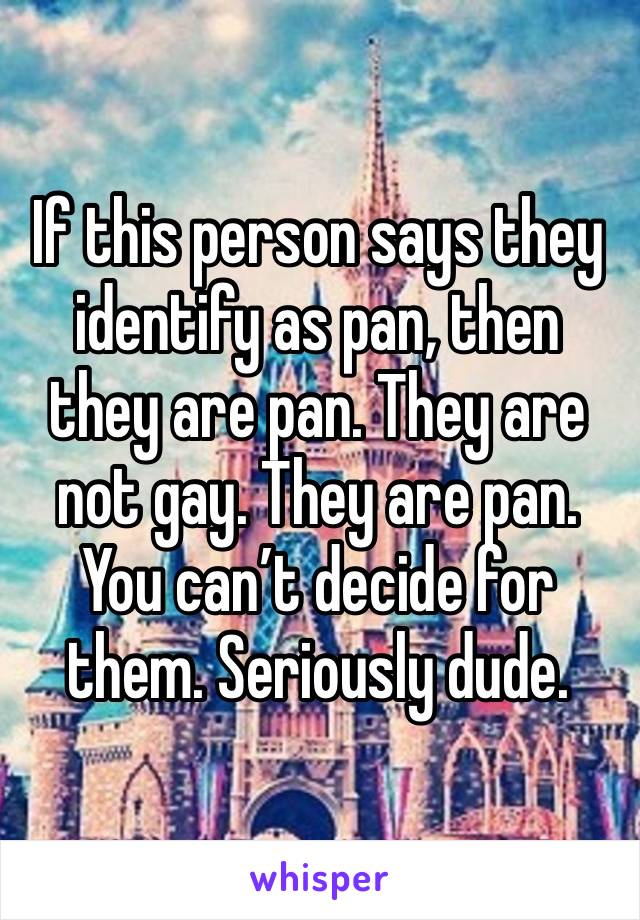 If this person says they identify as pan, then they are pan. They are not gay. They are pan. You can’t decide for them. Seriously dude.