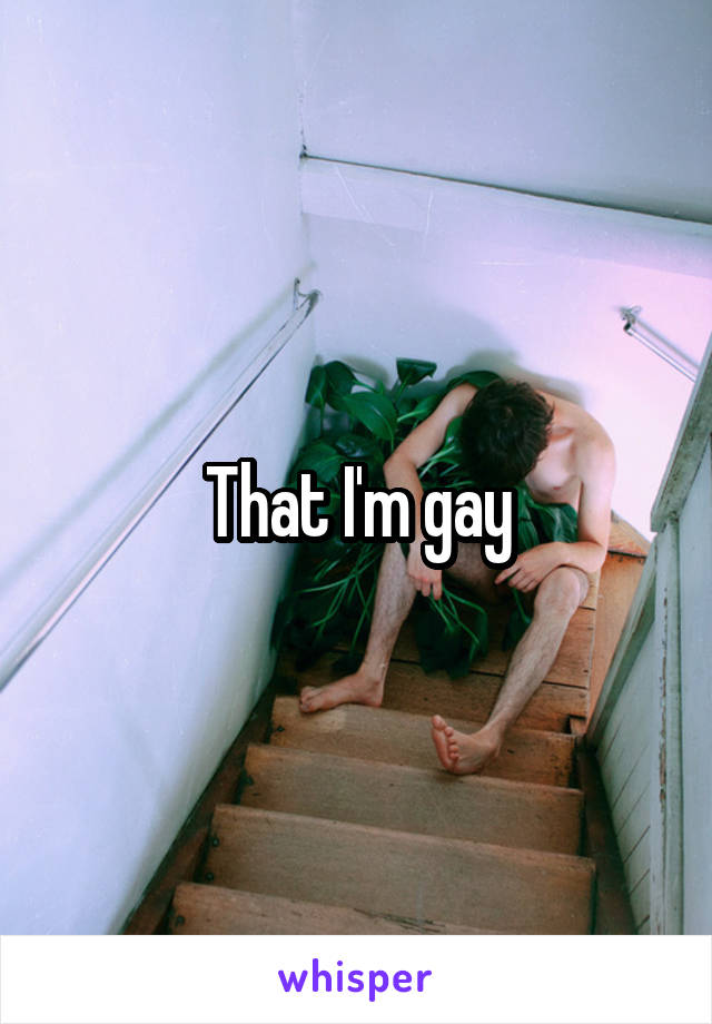 That I'm gay