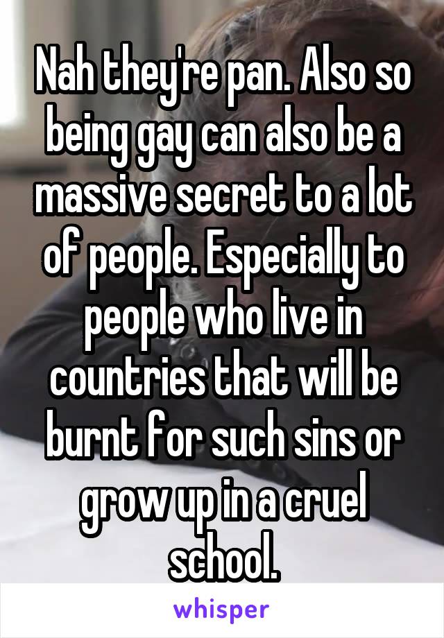 Nah they're pan. Also so being gay can also be a massive secret to a lot of people. Especially to people who live in countries that will be burnt for such sins or grow up in a cruel school.