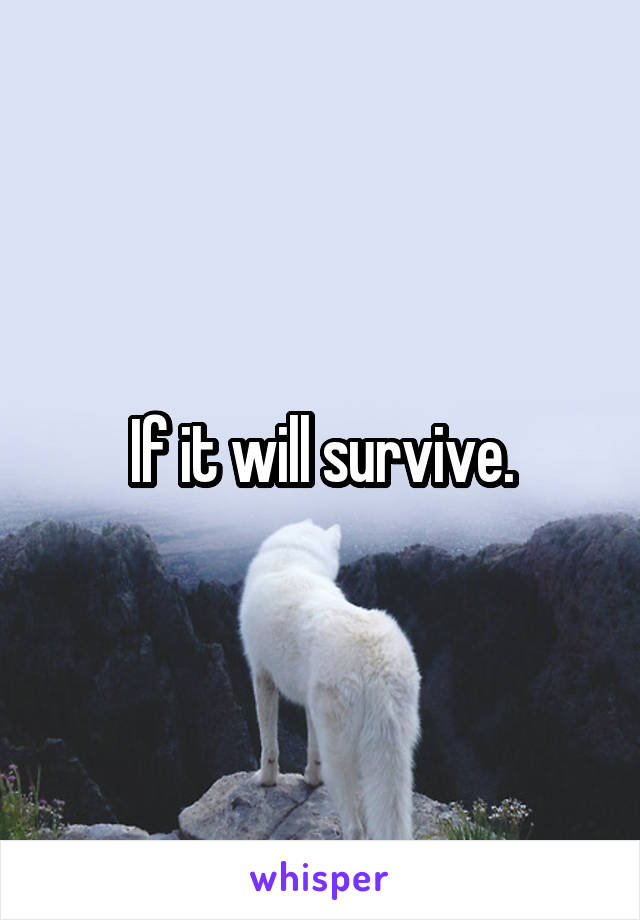 If it will survive.