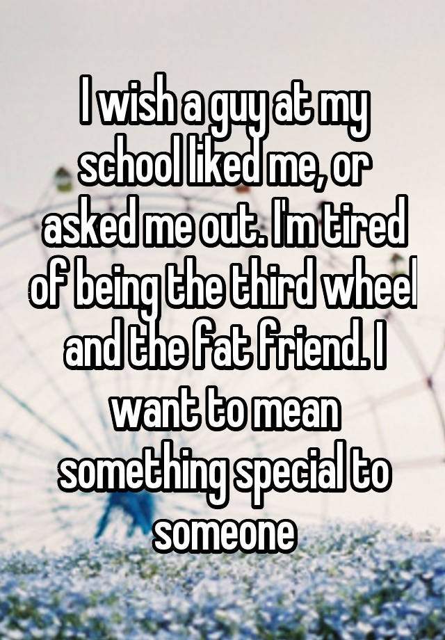 I wish a guy at my school liked me, or asked me out. I'm tired of being the third wheel and the fat friend. I want to mean something special to someone