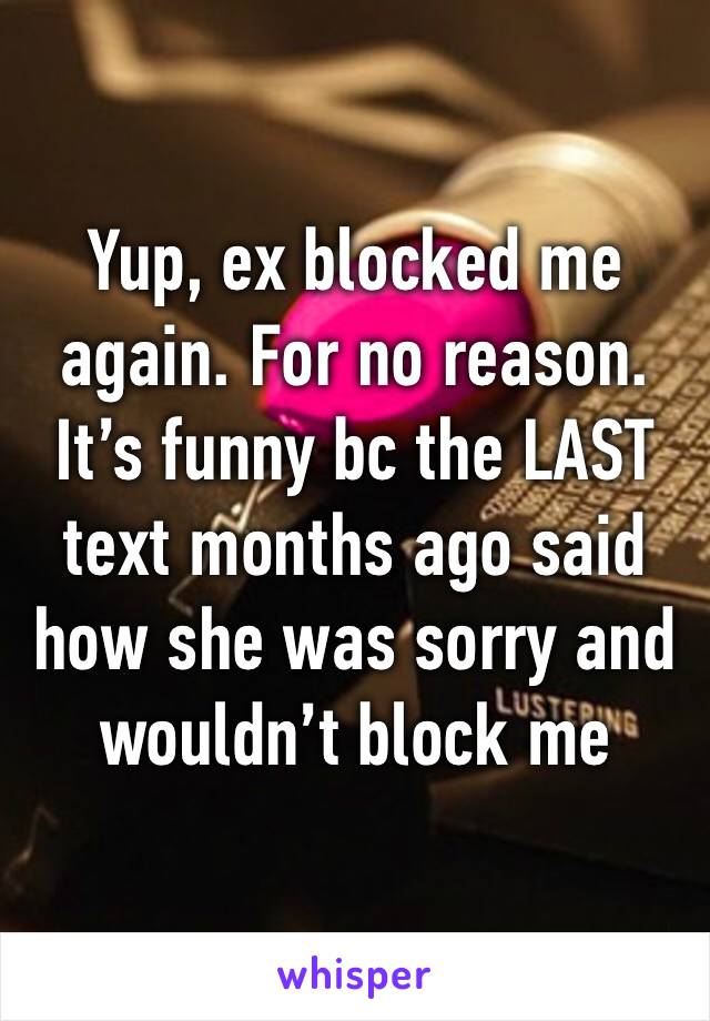 Yup, ex blocked me again. For no reason. It’s funny bc the LAST text months ago said how she was sorry and wouldn’t block me again. 