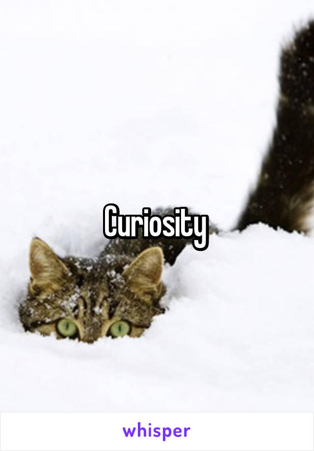 Curiosity 