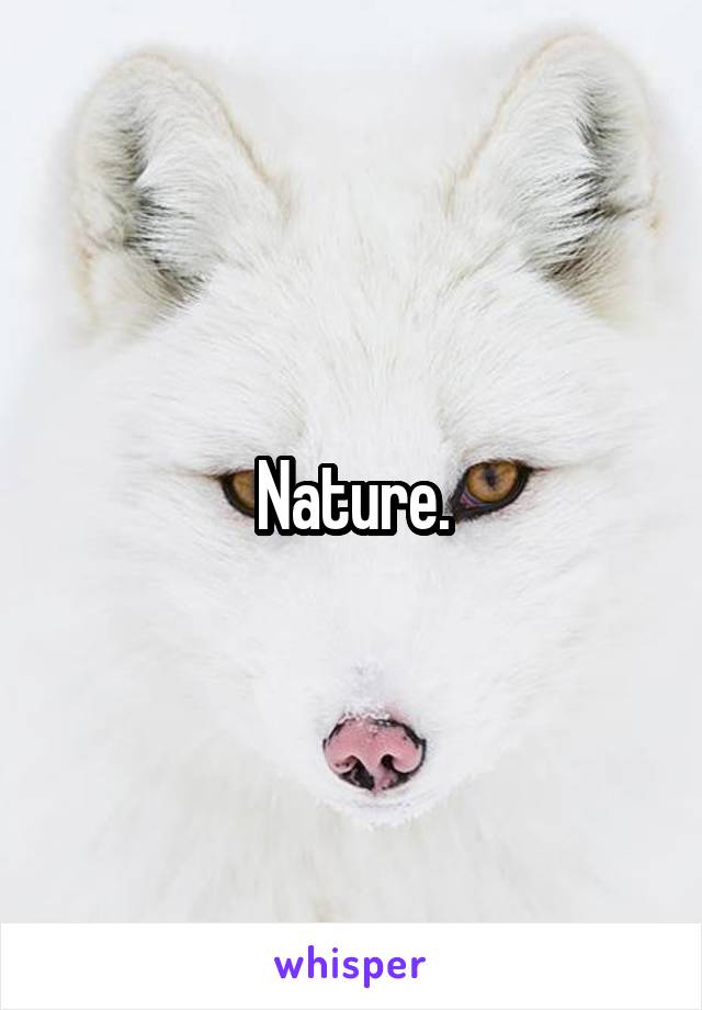 Nature.