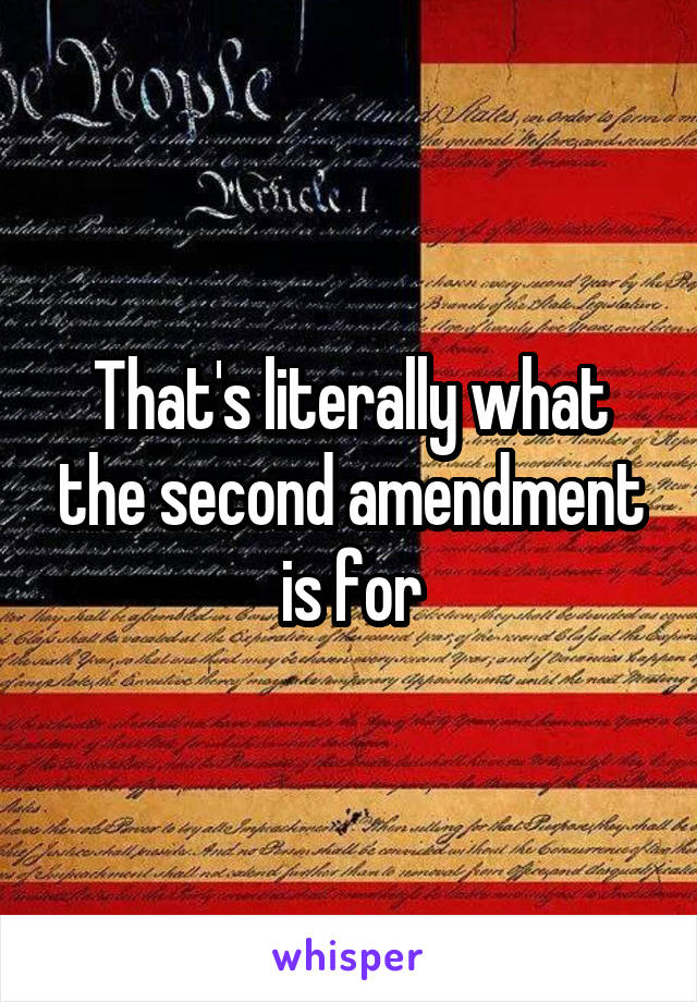 That's literally what the second amendment is for