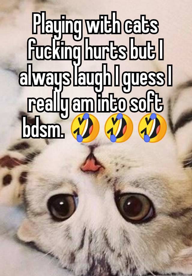 Playing with cats fucking hurts but I always laugh I guess I really am into soft bdsm. 🤣🤣🤣