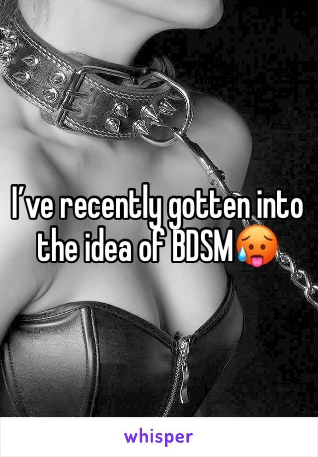 I’ve recently gotten into the idea of BDSM🥵