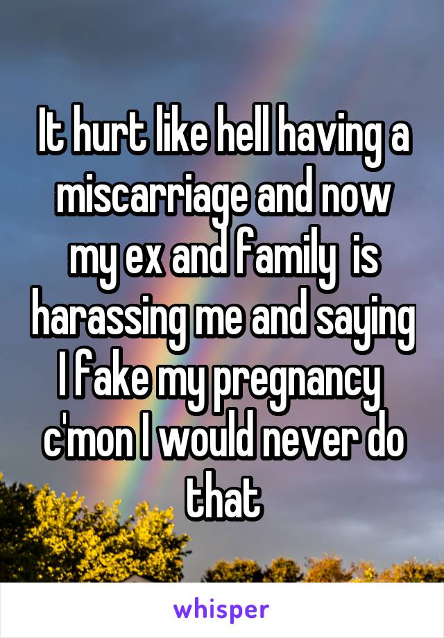 It hurt like hell having a miscarriage and now my ex and family  is harassing me and saying I fake my pregnancy  c'mon I would never do that