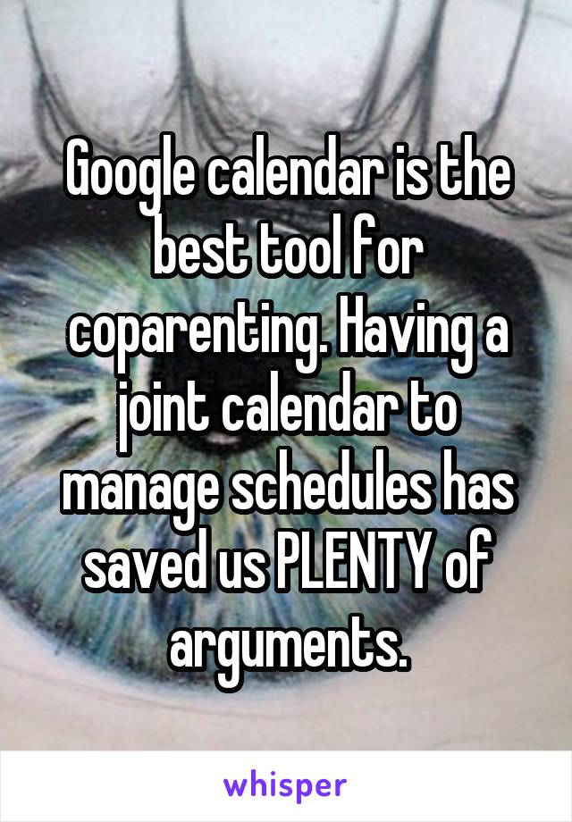 Google calendar is the best tool for coparenting. Having a joint calendar to manage schedules has saved us PLENTY of arguments.