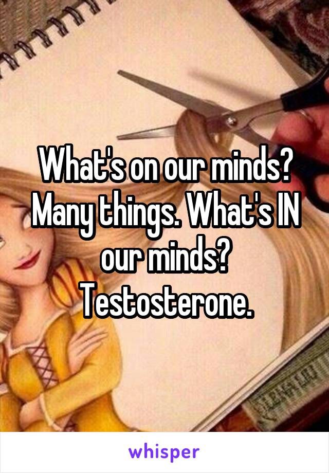 What's on our minds? Many things. What's IN our minds? Testosterone.