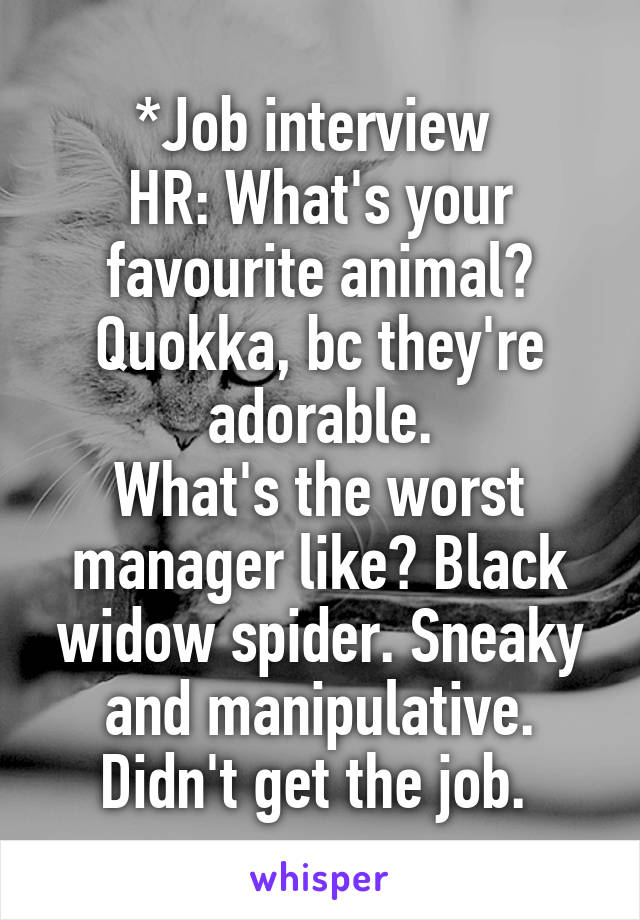 *Job interview 
HR: What's your favourite animal?
Quokka, bc they're adorable.
What's the worst manager like? Black widow spider. Sneaky and manipulative.
Didn't get the job. 