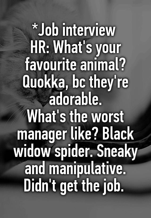 *Job interview 
HR: What's your favourite animal?
Quokka, bc they're adorable.
What's the worst manager like? Black widow spider. Sneaky and manipulative.
Didn't get the job. 
