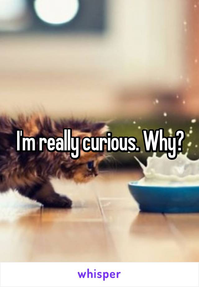 I'm really curious. Why?