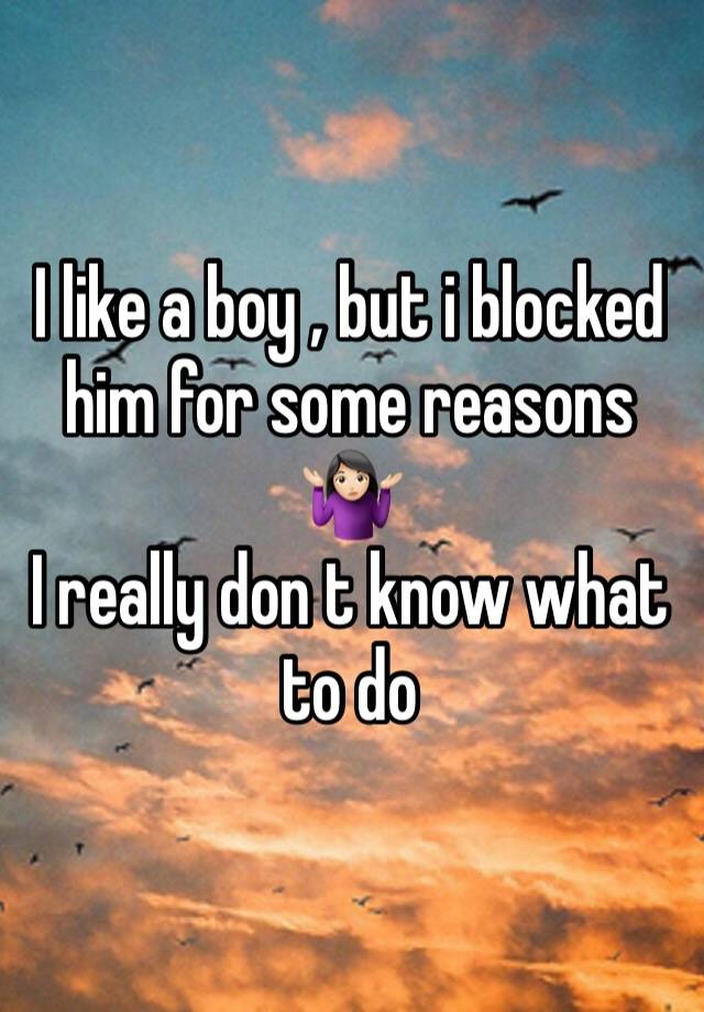 I like a boy , but i blocked him for some reasons 🤷🏻‍♀️
I really don t know what to do 