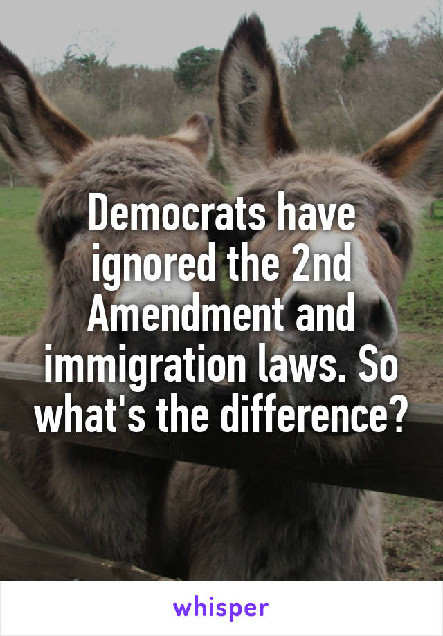 Democrats have ignored the 2nd Amendment and immigration laws. So what's the difference?