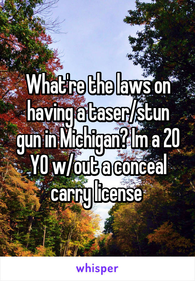 What're the laws on having a taser/stun gun in Michigan? Im a 20 YO w/out a conceal carry license 