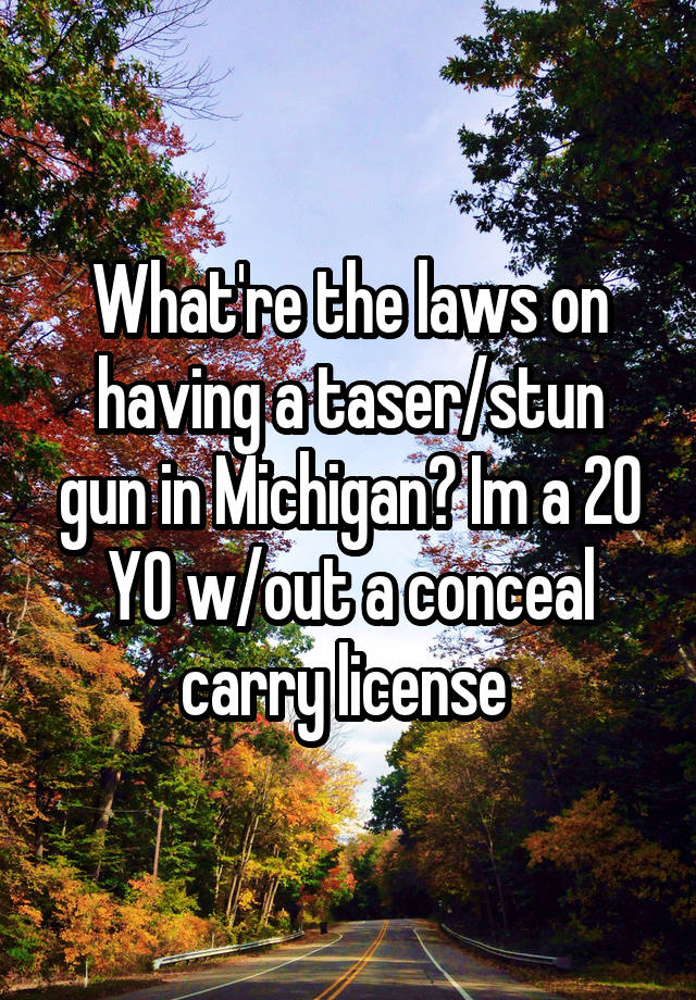 What're the laws on having a taser/stun gun in Michigan? Im a 20 YO w/out a conceal carry license 