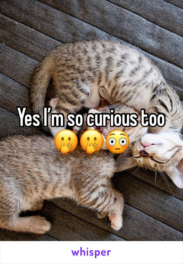 Yes I’m so curious too 🤭🤭😳