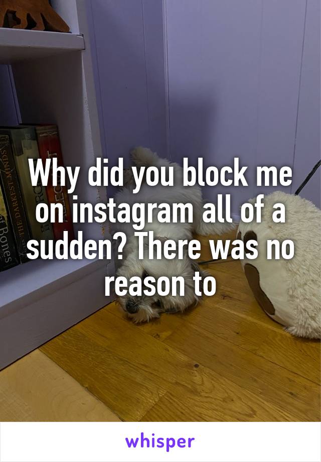 Why did you block me on instagram all of a sudden? There was no reason to