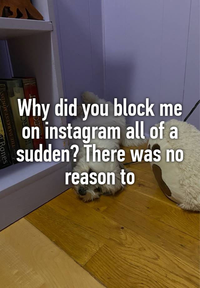 Why did you block me on instagram all of a sudden? There was no reason to